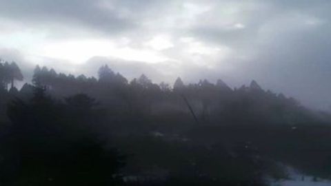 Ohio script - Universal script preview