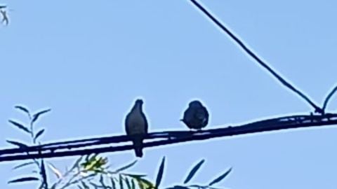 BANGX - Unknown script preview