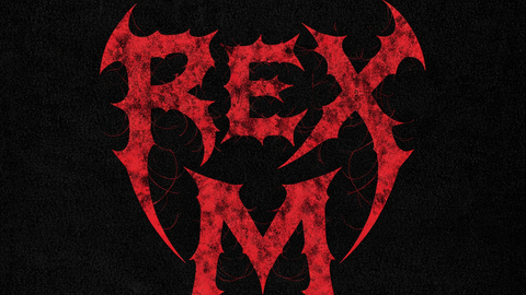 REXM Search - Unknown script preview