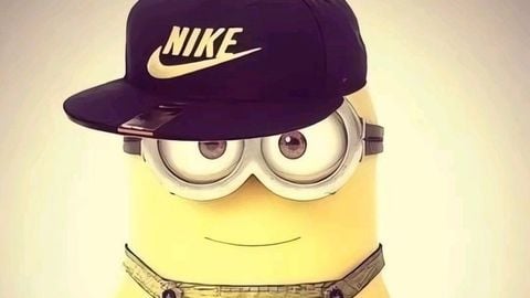 top script - Universal script preview