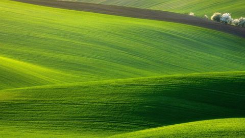 Any Game Recommanded - Unknown script preview