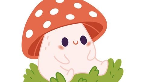 Digital Piano Script - Unknown script preview