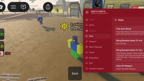 RINGTA HUB - Unknown script preview