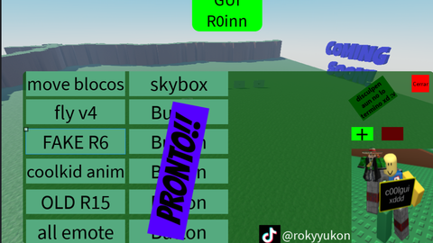 R0inn - Unknown script preview