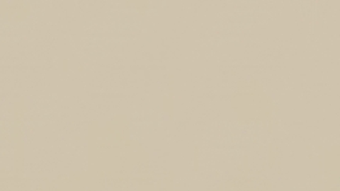 xian script keyless - Unknown script preview