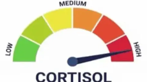 Okado Hub Keyless - Universal script preview