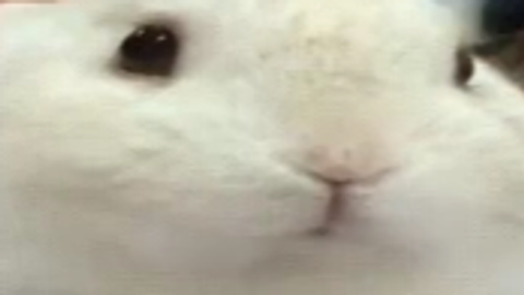 Making scripts for small robux payment - Unknown script preview