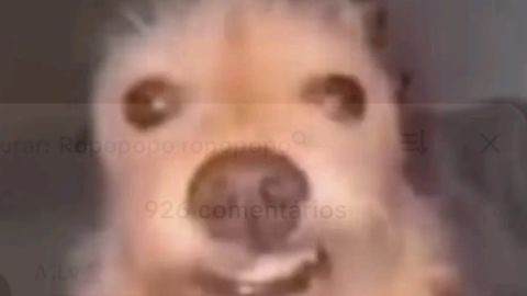 tool booster - Unknown script preview