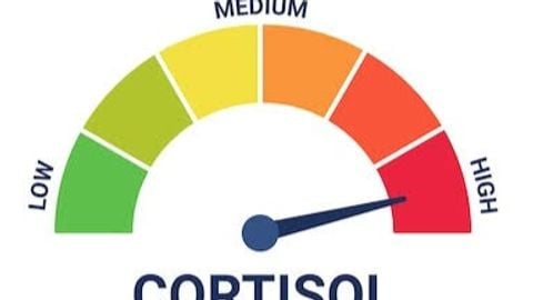 Universal Aimbot Created by Lukano214 - Unknown script preview