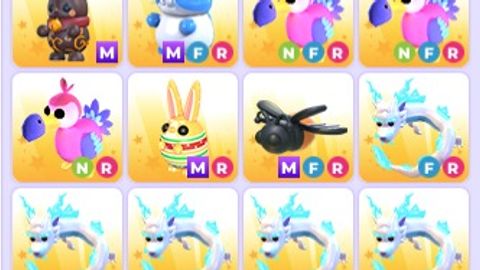 Muji Hub Best Stable - Unknown script preview