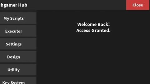Nishgamerr hub v81 - Unknown script preview