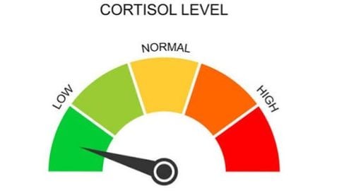 Universal Low cortisol Meme script - Unknown script preview