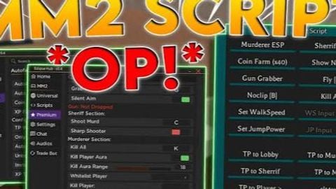 MM.2 SAFE + OP FEATURES KEYLESS AUTOFARM AIMBOT ESP DUPE - Unknown script preview