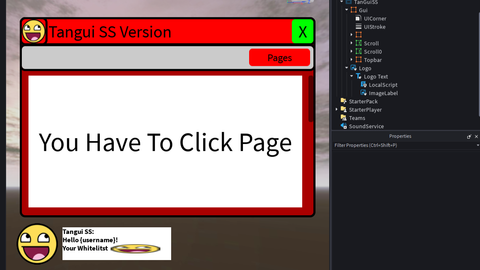 Tangui SS Backdoor Version - Unknown script preview