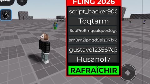Fling player - Unknown script preview