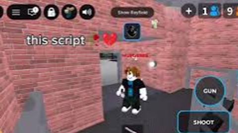 Script hub
