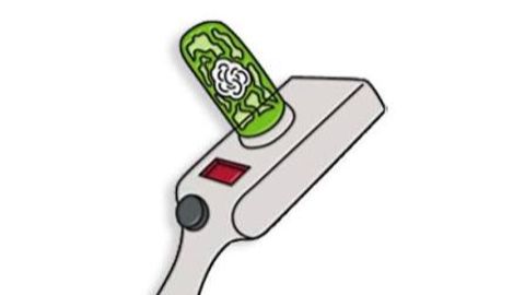 Universal Script 📌