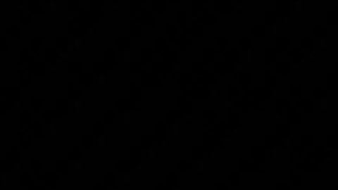 Universal Script ๐
