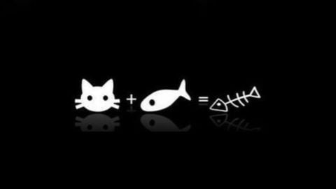 Universal Script 📌