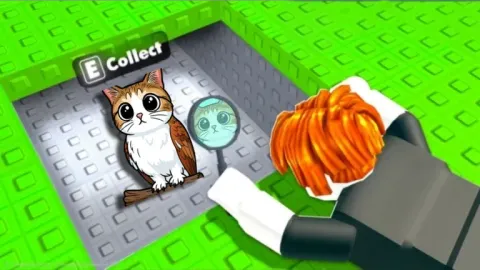 Find a Cat [78]