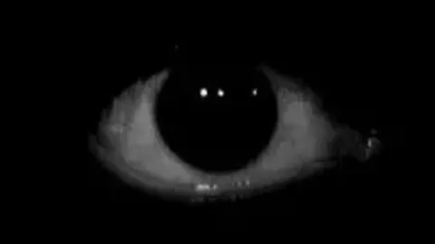 Auto Loot - Robong: Megabonk [EVOLVE] [CO OP] script preview