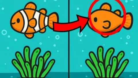 Find the Differences 👀