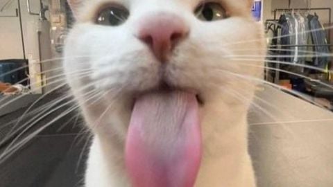 Fun amberalert script - Amber Alert [UPD] [HORROR] script preview