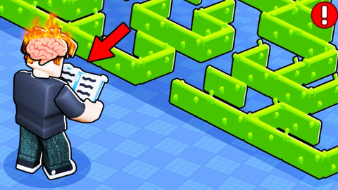 Maze Simulator