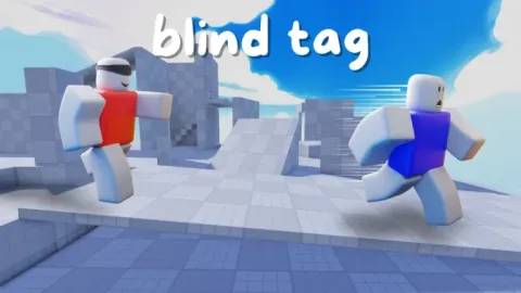 [CONSOLE] Blind Tag