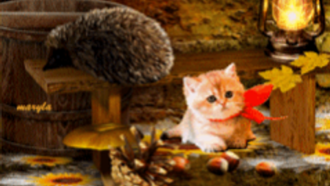 [🎃]+1 Loot To Forge