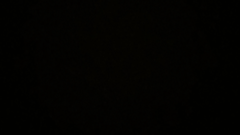 [x99.9 STATS] Button Bobux Simulator