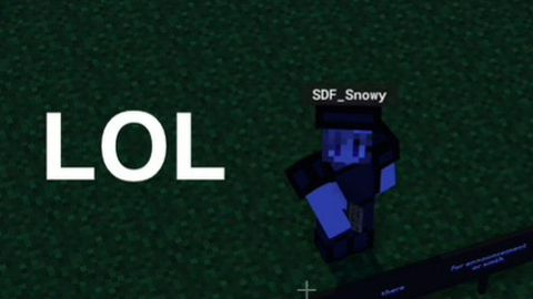 Build & Survive
