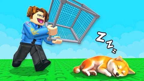 Dog VS Police