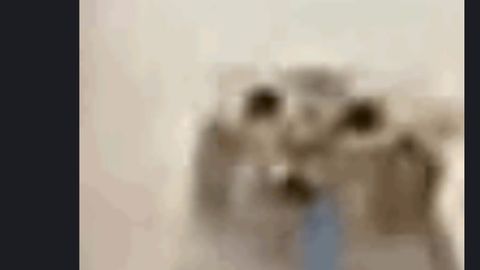 Spinning cube - [UP] Just a baseplate. script preview