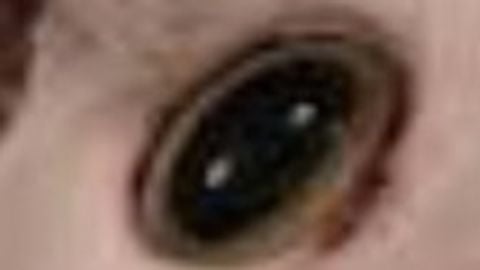 Fe Lolita Glitcher Leaked Version - [UP] Just a baseplate. script preview