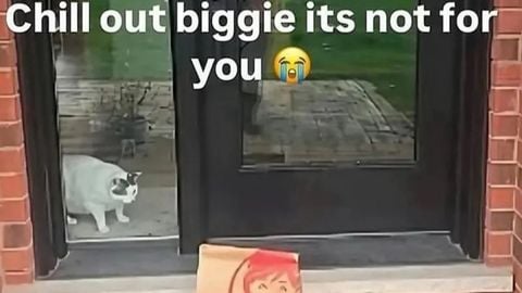 Jump on The Caac - [UP] Just a baseplate. script preview