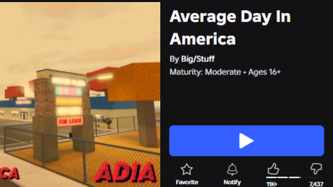 Average Day In America