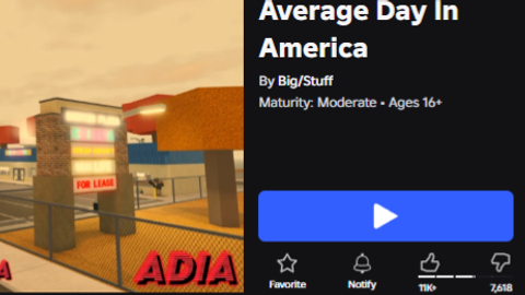 Average Day In America