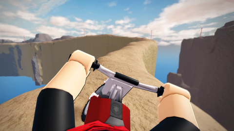 Dangerous Bike Driving