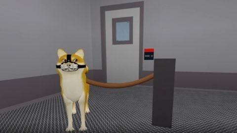 Dog Pound