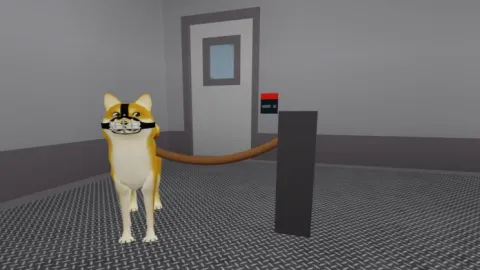Dog Pound