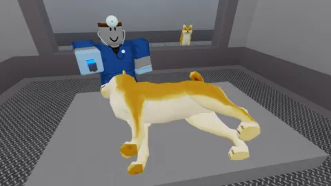 Dog Pound