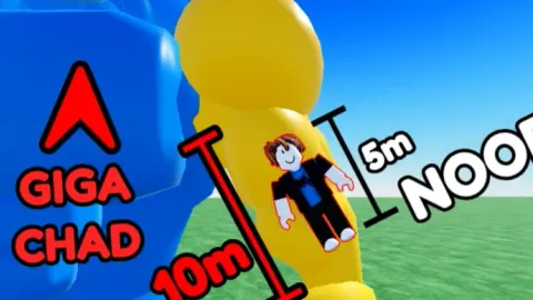 +1 Size Every +1 Step