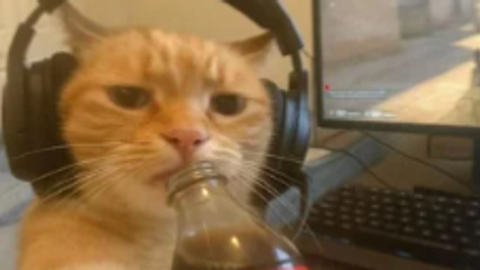 SIGMA FARM  Remastered - [⌛] Prospecting! 💎 script preview