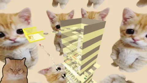 🐱 Ay Mi Gatito Phonk Tower 🎵