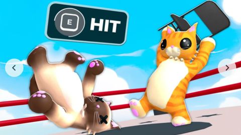 Cat Battles 🐾