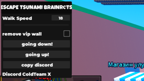 Escape Tsunami For Brainrots!