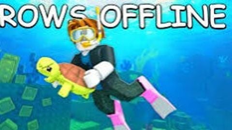 Dive Down 🦈