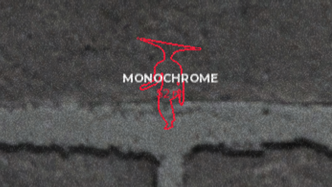 { Pt. 2 } MONOCHROME👁️