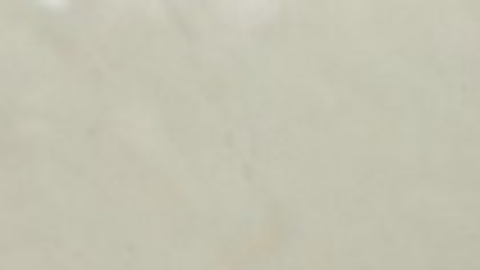 [NEW CHAPTER] HUNTED | Pure Hub — Roblox Scripts | ScriptBlox